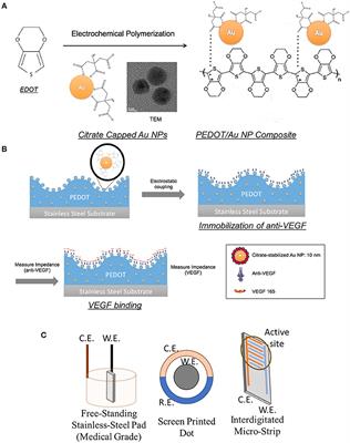 Impedimetric Biosensors for Detecting Vascular Endothelial Growth Factor (VEGF) Based on Poly(3,4-ethylene dioxythiophene) (PEDOT)/Gold Nanoparticle (Au NP) Composites